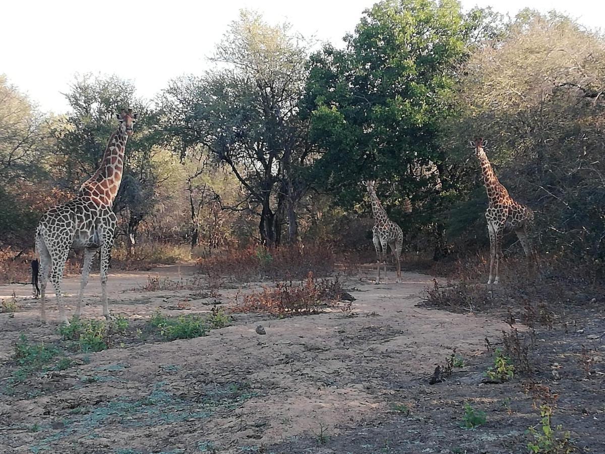 Hotel Kelora Bush Camp Hoedspruit Exterior foto