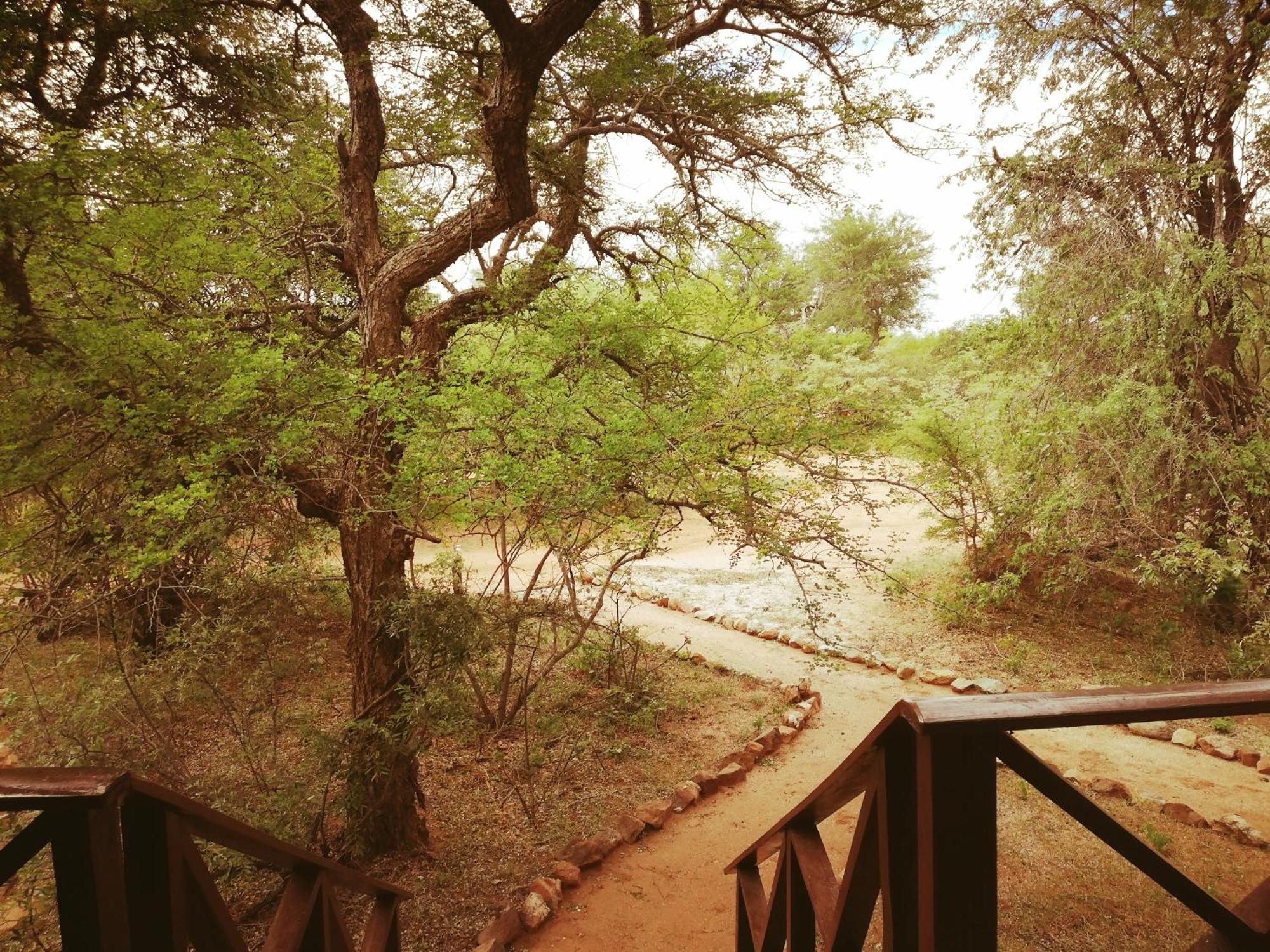 Hotel Kelora Bush Camp Hoedspruit Zimmer foto